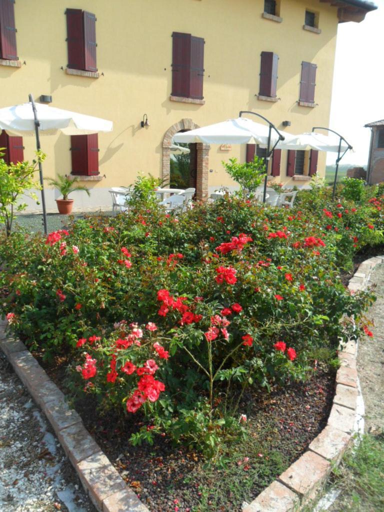Agriturismo Al Navile Malalbergo エクステリア 写真