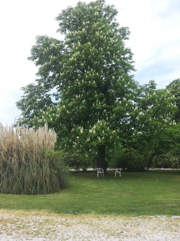 Agriturismo Al Navile Malalbergo エクステリア 写真