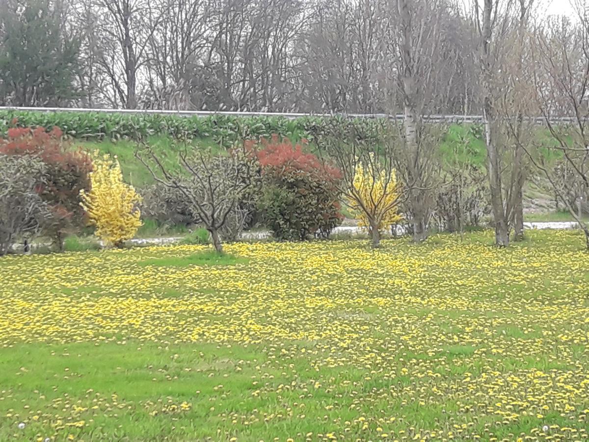 Agriturismo Al Navile Malalbergo エクステリア 写真